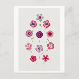 Illustratie van oude Phlox Briefkaart