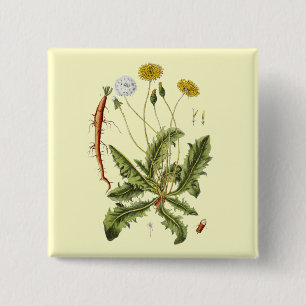 Illustratie van paardenbloem in vintage stijl vierkante button 5,1 cm