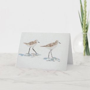 Illustratie van paardenvogels kaart