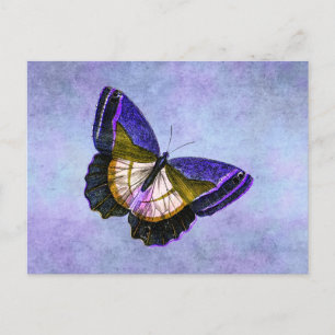 illustratie van Paarse en goudvlinder Briefkaart