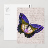  illustratie van Paarse en goudvlinder Briefkaart (Voorkant / Achterkant)