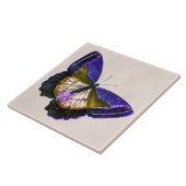 illustratie van Paarse en goudvlinder Tegeltje (Zijkant)