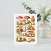Illustratie van paddenstoelen in vintage stijl briefkaart (Staand voorkant)