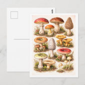 Illustratie van paddenstoelen in vintage stijl briefkaart (Voorkant / Achterkant)