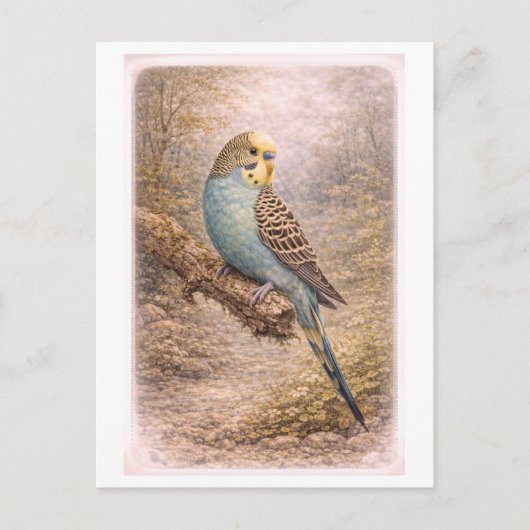 Illustratie van parkiet in vintage stijl briefkaart (Voorkant)
