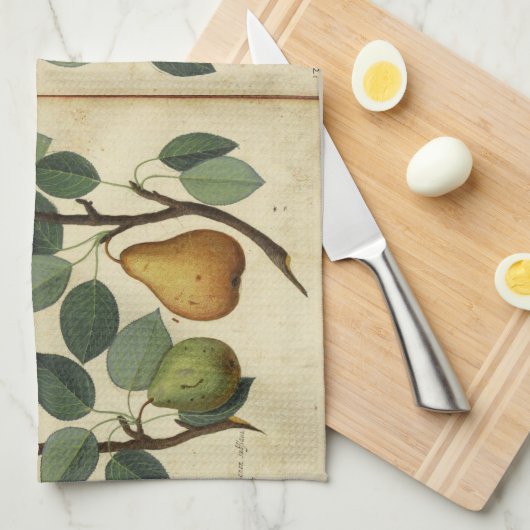 Illustratie van  perenflessen theedoek (Quarter Fold)