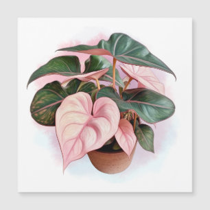 Illustratie van Pink Princess Philodendron