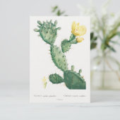 illustratie van plant (Staand voorkant)