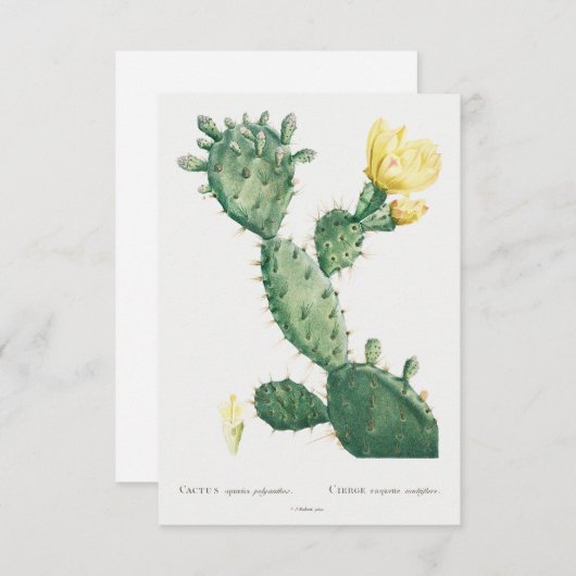 illustratie van plant (Voorkant / Achterkant)