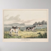  illustratie van "Pointer Dogs" (1846) Poster (Voorkant)