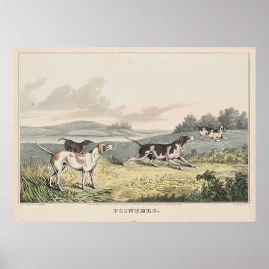  illustratie van "Pointer Dogs" (1846) Poster (Voorkant)