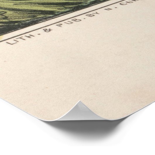  illustratie van "Pointer Dogs" (1846) Poster (Hoek)