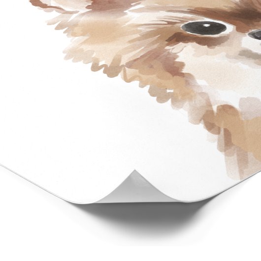 Illustratie van Pommeren Collie Waterverf Illustra Poster (Hoek)