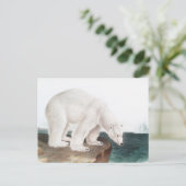 Illustratie van poolBeer (Ursus maritimus) Briefkaart (Staand voorkant)