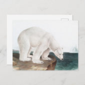 Illustratie van poolBeer (Ursus maritimus) Briefkaart (Voorkant / Achterkant)