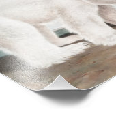 Illustratie van poolBeer (Ursus maritimus) Foto Afdruk (Hoek)