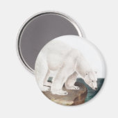 Illustratie van poolBeer (Ursus maritimus) Magneet (Voorkant / Achterkant)