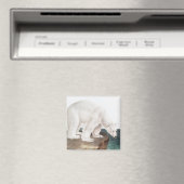 Illustratie van poolBeer (Ursus maritimus) Magneet (Insitu (Vaatwasser))