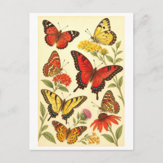 Illustratie van rode en gele vlinders in vintage s briefkaart