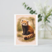 Illustratie van rode panda in vintage stijl briefkaart (Staand voorkant)
