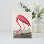 Illustratie van roze flamingo briefkaart (Staand voorkant)