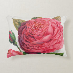 Illustratie van roze vintage roos accent kussen