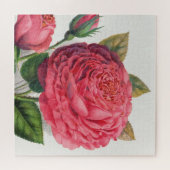 Illustratie van roze vintage roos legpuzzel (Horizontaal)