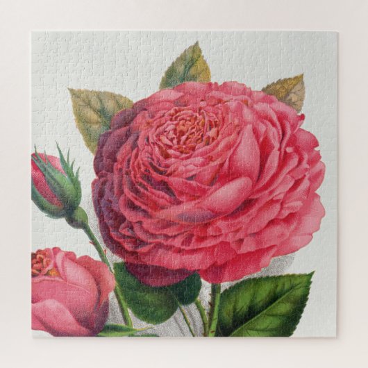 Illustratie van roze vintage roos legpuzzel (Verticaal)