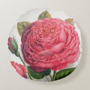 Illustratie van roze vintage roos rond kussen