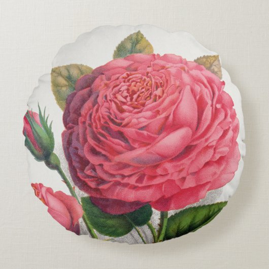 Illustratie van roze vintage roos rond kussen (Voorkant)