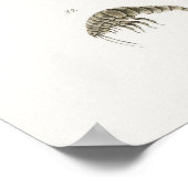 illustratie van schelpdieren poster (Hoek)