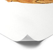  illustratie van schelpdieren poster (Hoek)