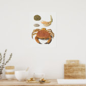  illustratie van schelpdieren poster (Keuken)