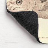 illustratie van schelvis muismat (Hoek)