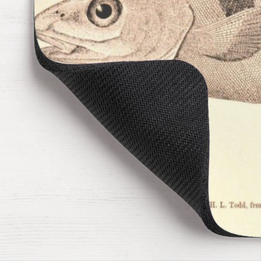  illustratie van schelvis muismat (Hoek)