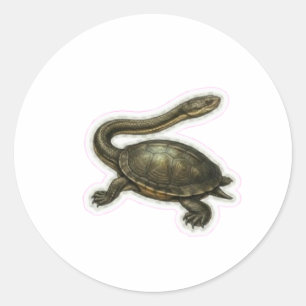 Illustratie van schildpad met slangenhals - Unieke Ronde Sticker