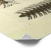 Illustratie van  snijddiagram (1834) poster (Hoek)