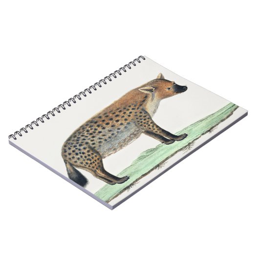Illustratie van Spotted Hyena | Africa Animal Notitieboek (Linkerzijde)