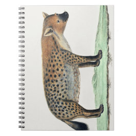 Illustratie van Spotted Hyena | Africa Animal Notitieboek