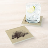 illustratie van stekelvarkens glazen onderzetter (Schuin)