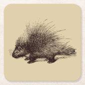  illustratie van stekelvarkens kartonnen onderzetters (Voorkant)