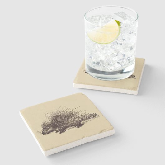  illustratie van stekelvarkens stenen onderzetter (Zijkant)