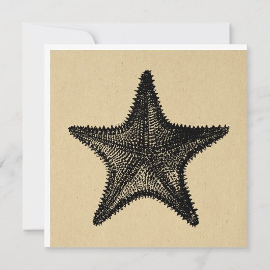 Illustratie van stervis Ocean Art  Starfish Notitiekaartje (Achterkant)