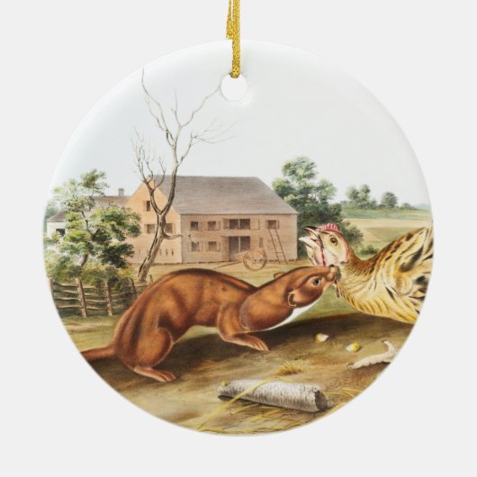 Illustratie van Tawny Weasel (Putorius fuscus) Keramisch Ornament (Achterkant)