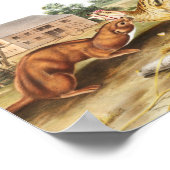 Illustratie van Tawny Weasel (Putorius fuscus) Poster (Hoek)