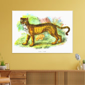 Illustratie van  tijger of tijger van leeuw canvas afdruk (Insitu (Woonkamer))