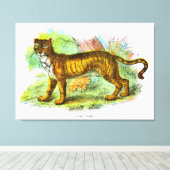 Illustratie van  tijger of tijger van leeuw canvas afdruk (Insitu (Houten vloer))