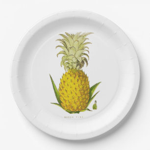  illustratie van tropische ananas papieren bordje