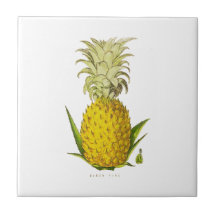  illustratie van tropische ananas