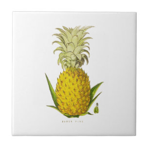 illustratie van tropische ananas tegeltje
